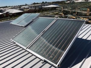 Solar hot water panels mounted on a metal roof in Nambour, harnessing sunlight to deliver efficient hot water.